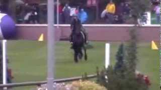 Alberta Friesian Horse Association at 2013 Telus Battle of the Breeds [upl. by Leemaj]