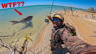 3 Days Camping Fishing amp Hunting for Giant Fish  Remote Australia [upl. by Kerril]