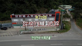 천상천하 미륵존불 229회 조상사자가 비계를 좋아한 이유는 010 6530 0047 [upl. by Dari293]