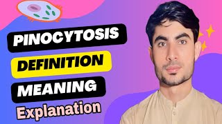 pinocytosisdefinition and meaning with explanationabdur Rahman official [upl. by Tormoria800]