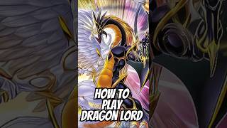 The Ultimate Board Light amp Darkness Dragon Lord Deck [upl. by Casey]