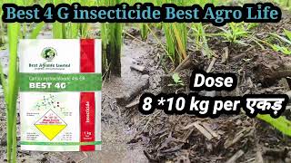 Best 4 g insecticide Cartap Hydrochloride 4 gr [upl. by Eelatan883]