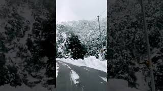 Magical Snowfall in Mussoorie  Winter Wonderland in the Queen of Hills [upl. by Oicnerolf]