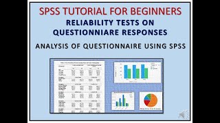 Cronbach’s Alpha Test Reliability Test on Questionnaire Using SPSS  Tutorial for beginners [upl. by Hluchy]