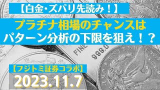 【白金・ズバリ先読み！】プラチナ相場のチャンスはパターン分析の下限を狙え！？23117商品先物投資情報GoldTVnet [upl. by Retsim]