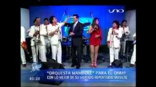 Mámbole Internacional  Talento en Tv y cumbias del 80  WWWVIENDOESLACOSACOM  Cumbia 2014 [upl. by Kunin]