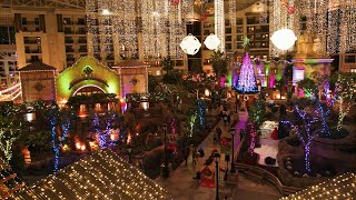 A Lone Star Christmas at the Gaylord Texan Resort  YOLO TX [upl. by Aerdua]