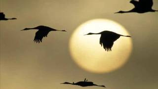 OST Sandglass  Zhuravli Cranes  Iosif Kobzon [upl. by Quickel]