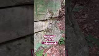 Westwall Bunker Hürtgenwald adventure wald природа природа westwall [upl. by Anihta574]