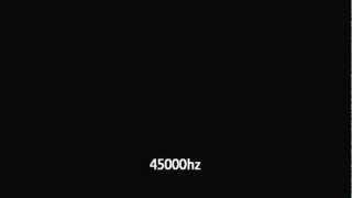 45000 Hz [upl. by Kciv]