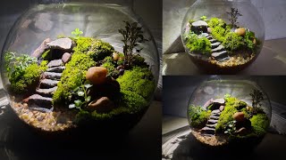 Terrarium  How to make terrarium  Moss terrarium  Fairy Garden [upl. by Aylmer]