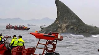 Si Ces 30 moments a LA Plage navaient pas été filmés personne ny aurait cru [upl. by Odlonra]