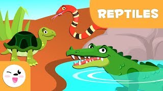 Reptiles for kids  Vertebrate animals  Natural Science For Kids [upl. by Darline]