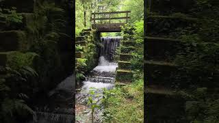 Unterwegs am Kaltenbach bei Annweiler  Wandern im Pfälzer Wald [upl. by Reid872]