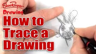 How to trace a drawing [upl. by Tuesday703]