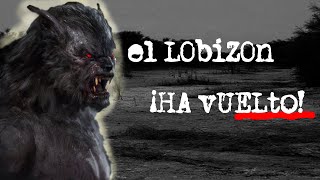 🐺El LOBIZON relato ATERRADOR  LEYENDA DEL LUISON🐺 EL SEPTIMO HIJO [upl. by Queen]