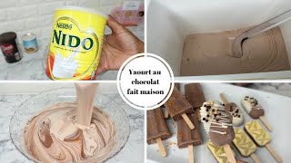 YAOURT AU CHOCOLAT 🍫  UNE RECETTE A TESTER Shalou Cuisine [upl. by Ihcalam]