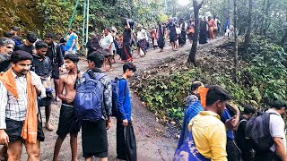 🔴 LIVE சபரிமலை நேரடி ஒளிபரப்பு வீடியோ காட்சி 31122023  Sabarimala  Ayyappan  Pilgrimage Today [upl. by Wendin]