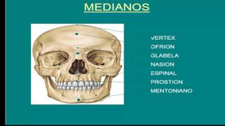 FONTANELAS Y PUNTOS CRANEOMÉTRICOS [upl. by Muryh839]