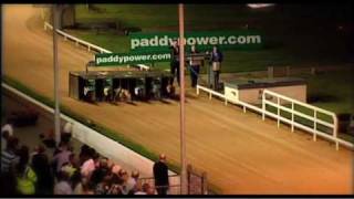 College Causeway  Route to Irish Greyhound Derby victory [upl. by Persons]