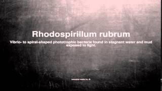 Medical vocabulary What does Rhodospirillum rubrum mean [upl. by Bill]