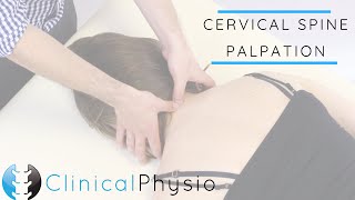 Cervical Spine Palpation  Clinical Physio [upl. by Oiram]