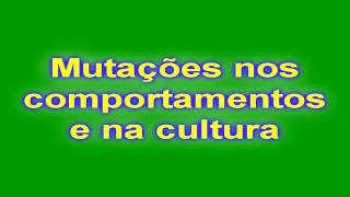 História A Resumos Mutações nos comportamentos e na cultura  Módulo 7 parte 4 [upl. by Wilona]