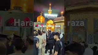 Haram mola raza men dua az tarf sain wazeer ali mashafi sahb [upl. by Mattias]