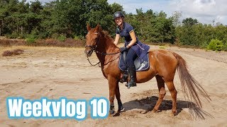 Shoppen bij de Epplejeck amp shoplog  Weekvlog 10 [upl. by Towroy]