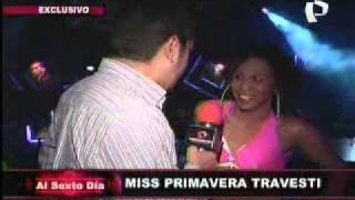 Conozca a la Miss Primavera Transexual 2011 [upl. by Enavi974]