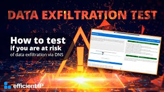 Quick Data Exfiltration Test Check your risk of data theft via DNS [upl. by Aztinad]