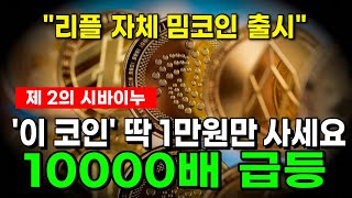 초대박 사건입니다 리플 XRP 자체 밈코인 출시 딱 만원만 사세요 10000배 꿈이 아닙니다 [upl. by Ahsiyt]