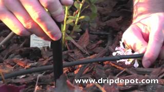 How to Easily Setup a Drip Irrigation Spray Jet Assembly [upl. by Farrington]