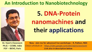 Nanobiotech L5  DNAPtotein Nanomachines  Lock Mechanism TMSD Aptamers and controlled delivery [upl. by Adelle]