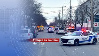 Famille décimée  triple meurtre dans Rosemont à Montréal [upl. by Melc]