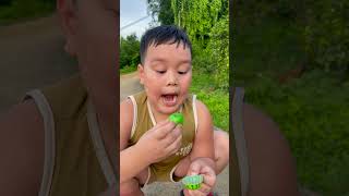 Kỹ năng sinh tồn Kẹo 🍭👁🍭 Đơn giản nhưng hữu ích survival bushcraft camping outdoors useful [upl. by Dyal]