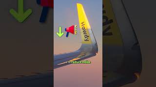 What Are Airplane Winglets For [upl. by Aneert]