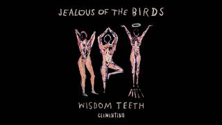 Jealous of the Birds  Clementina Official Audio [upl. by Skipper]