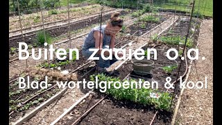 Inis Moestuin 182  Buiten zaaien blad en wortelgroenten kool Binnen zaaien o a courgette [upl. by Anoirb]