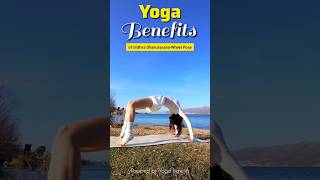 Yoga Benefits of Urdhva Dhanurasana  Wheel Pose Yoga challenge YogawithAdriene Yogaforbeginners [upl. by Nauj]