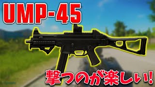 【EFT 実況】FPSだと何かと強武器になりがちな新武器UMP45！楽しい！！ [upl. by Rockwood418]