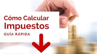 Como Calcular Impuestos Para Importar  Guia Rapida [upl. by Ahtan630]