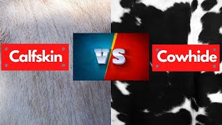 Calfskin Vs Cowhide  Which is Best amp Cheapest [upl. by Anirbes]