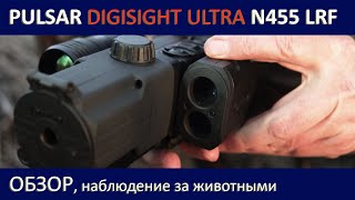 Pulsar Digisight Ultra N455 LRF Обзор наблюдение за животными [upl. by Oiramal91]