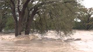 MAJOR FLOODING San Marcos River Flood in Texas 10302015 [upl. by Hanavas]