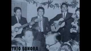 Navojoa 73 Trio Sonora [upl. by Orabelle112]