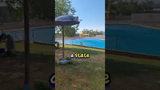 Helicopter Takes Water From Private Pool emepoli shorts [upl. by Adelina]