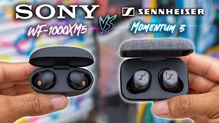 Sony WF1000XM5 VS Sennheiser Momentum TWS 3  The KING Dethroned [upl. by Clifton]