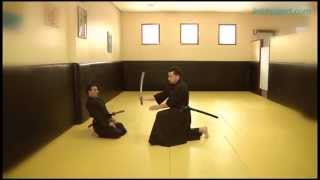 Iaido 12 Katas del Iaido  Serie Seiza No Bu [upl. by Eibrad]