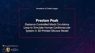 Elastance Controlled Mock Circulatory Loop Human Cardiovascular System in 3DPrinted Silicone Model [upl. by Quiteria]